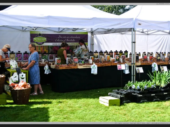 Pj 20230909 115127 0010