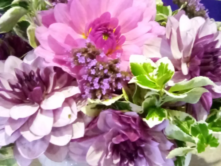 2023-09-24 Harvest Festival