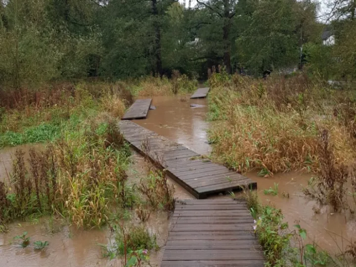 9a46c35c 25fb 46ca ab9a 12673ecd56fd_1_105_c