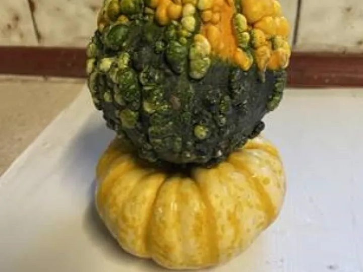 0f2a8048e3ea4e349cba2de1f5b703d7