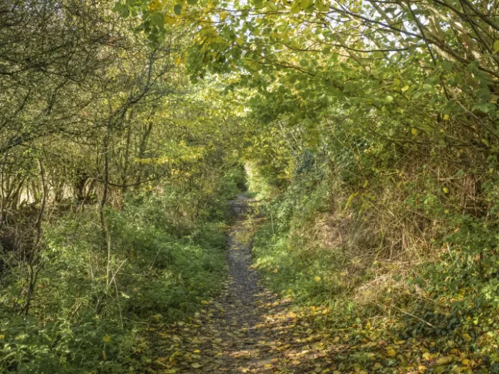 Image: 20231111 105305