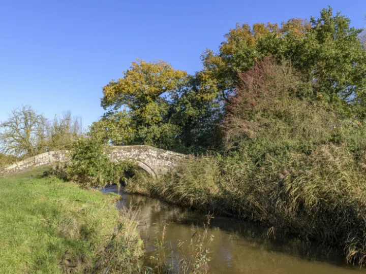 Image: 20231111 111311