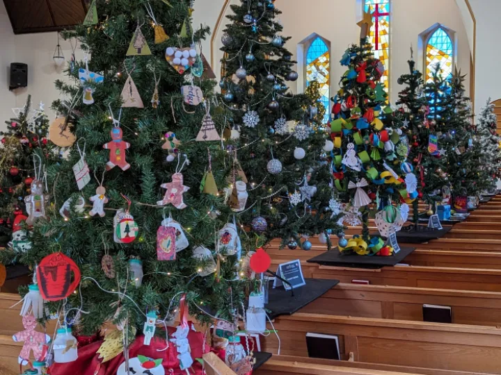 Pxl_20231211_114707332 (1)