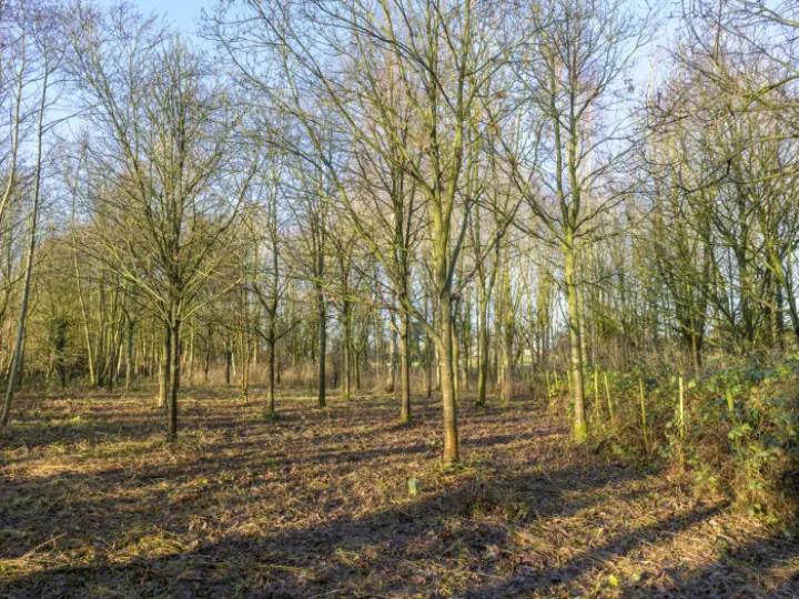 20240106-141127-Enhanced-Nr