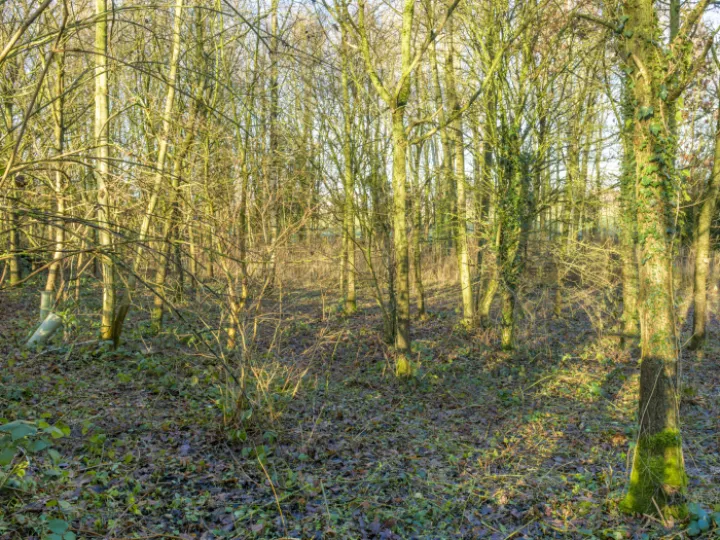 20240106-142510-Enhanced-Nr