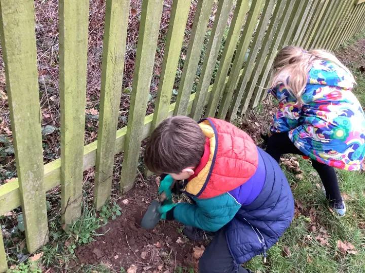 Planting