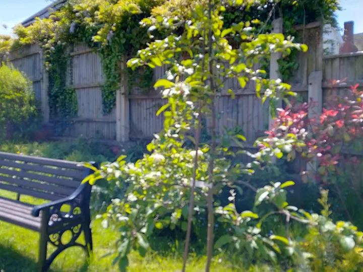 Img_20240525_122513_hdr