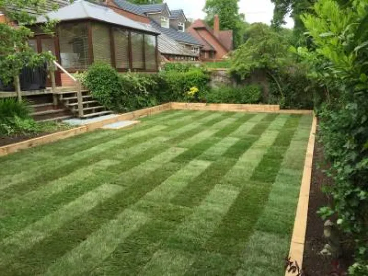 Garden landscape turf laying