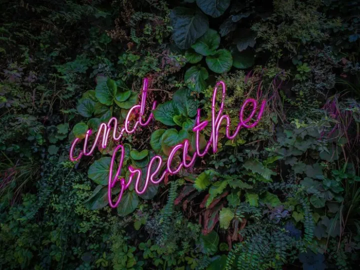 And Breathe by Victor On Unsplash