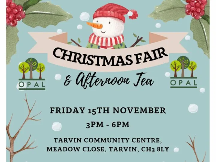 Opal Christmas Fair 2024 3x4