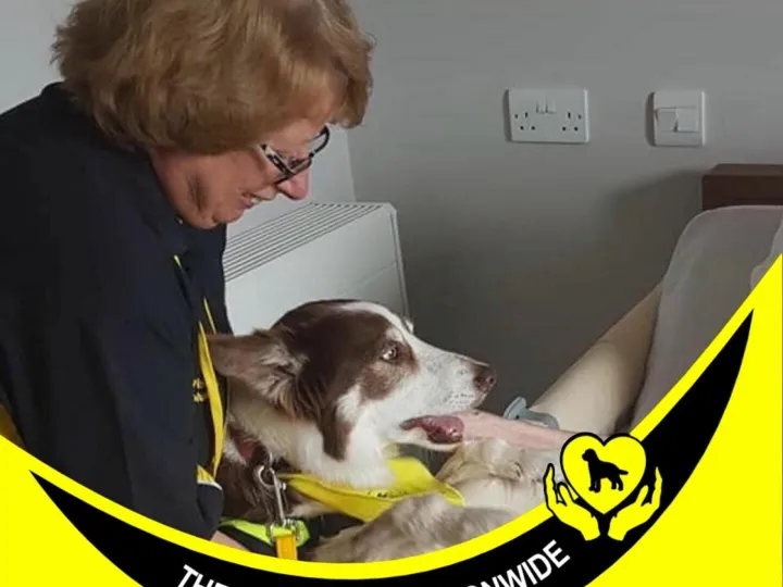 St Andrews Womens Group – Therapy Dogs Nov 2024