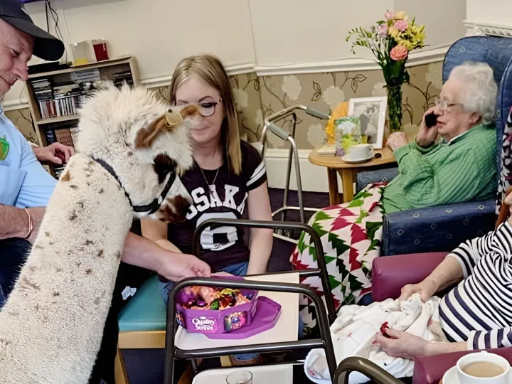 Residential Nursing Home Visit