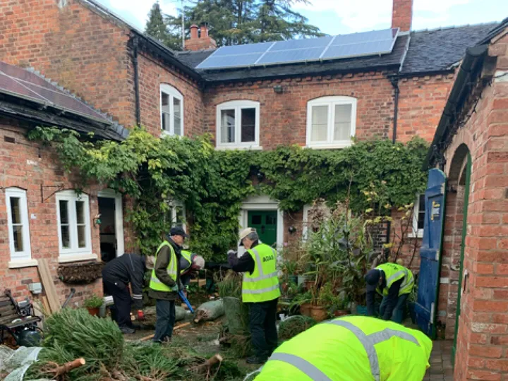 Christmas Tree Prep