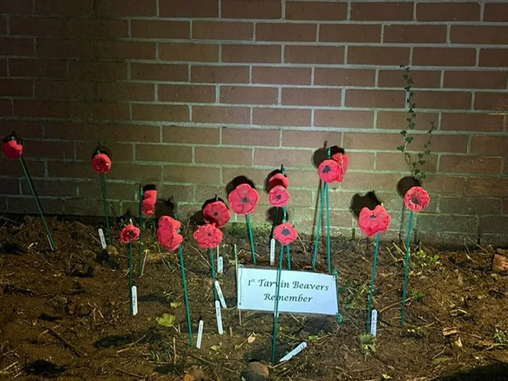 Remembrance Poppies At The Scout Hut X2