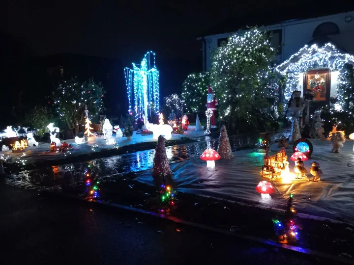Xmas Decorations