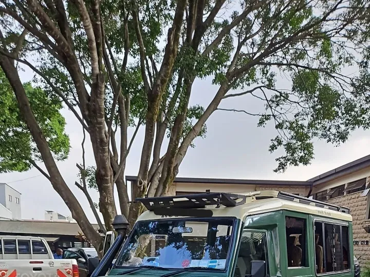 Landcruiser