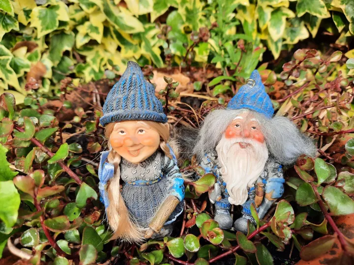 women's group paul mercer4