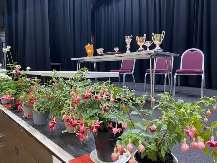 Trophies in Display Entried in