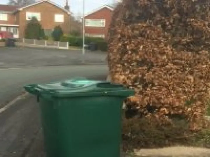 Green Bin