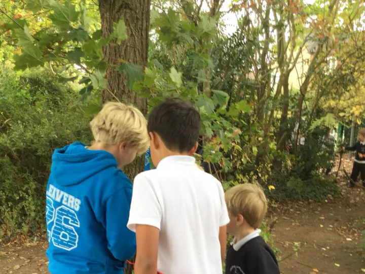 4edab476d6164ed49df06b07f4bd84b8