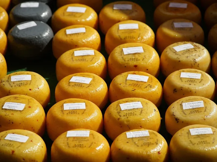 Cheese, dutch cheese, market, food, cheese