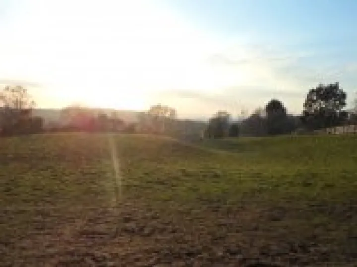 Pheasant Inn walk 2015