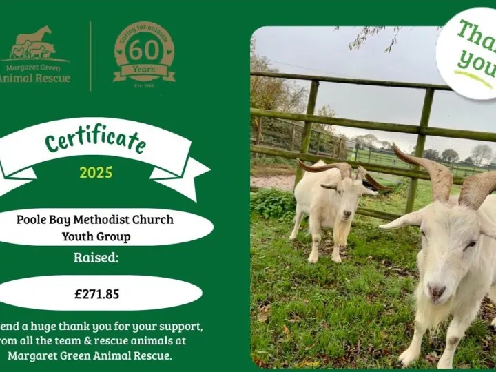 2025 12 &ndash; Margaret Green